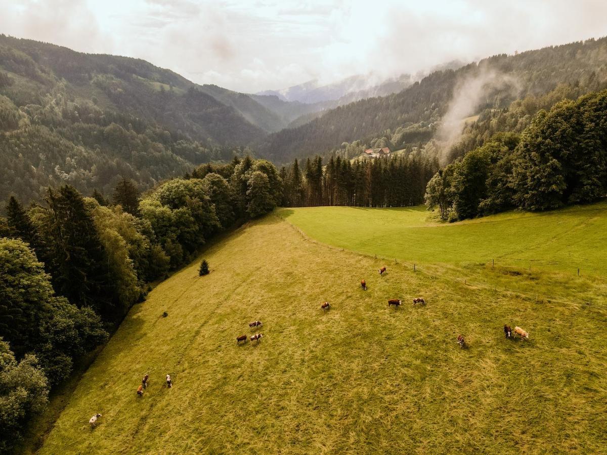 Almhaus Kochjosel Villa Garanas Kültér fotó