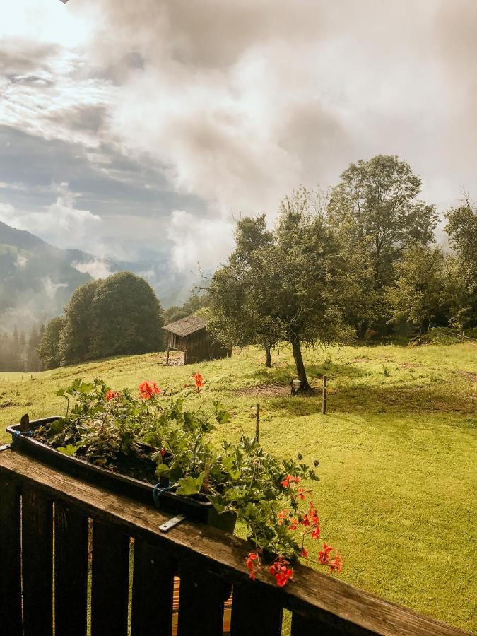 Almhaus Kochjosel Villa Garanas Kültér fotó